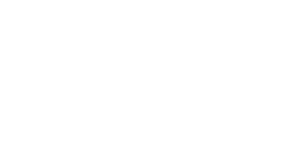Wettigo Casino Logo