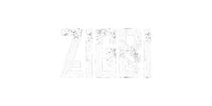 Zigbi Casino Logo