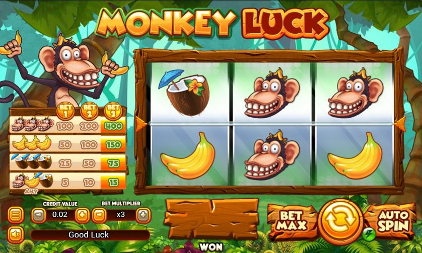 Monkey Luck.jpg