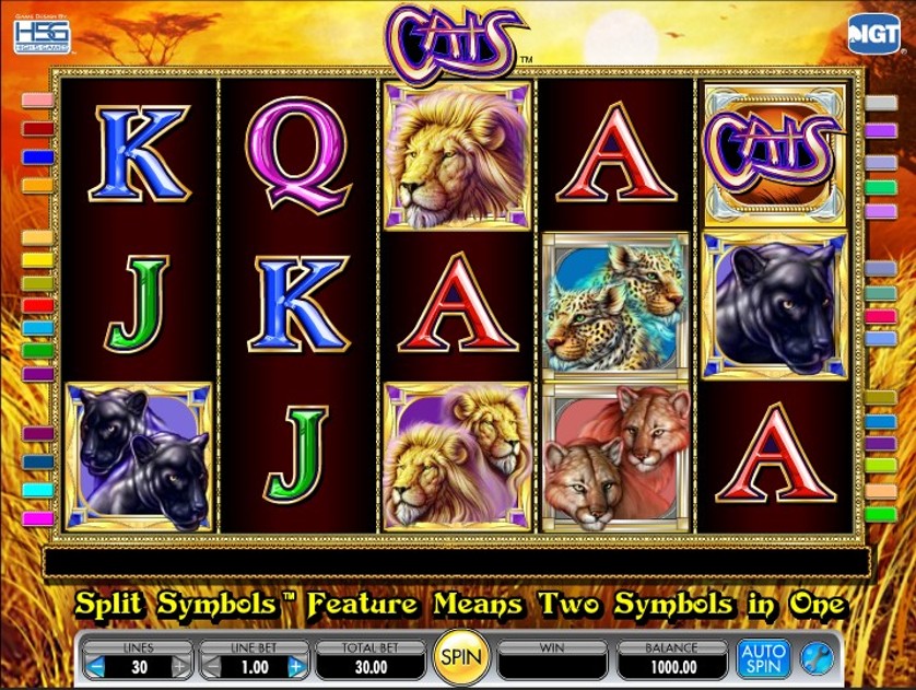 CatsCats Free Slots.jpg