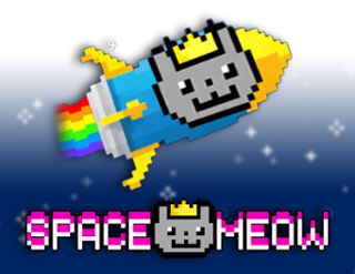 Space Meow