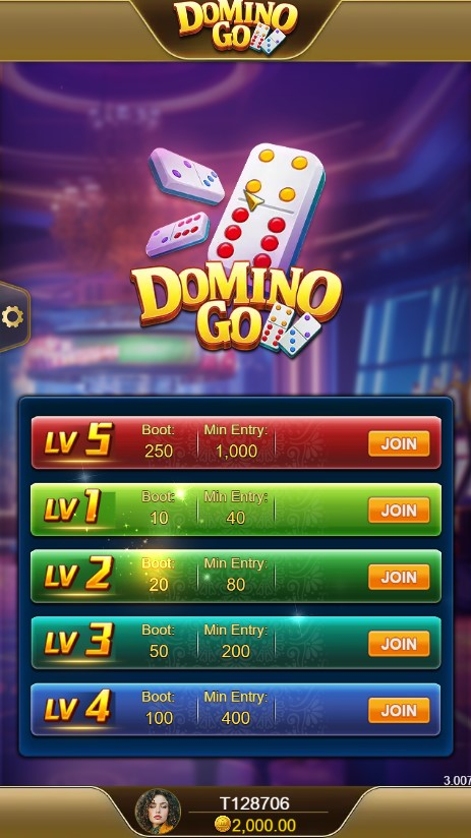 Domino Go.jpg