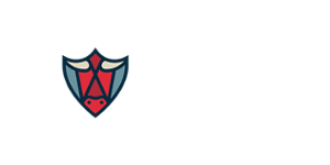 BetBull Casino Logo
