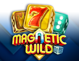 Magnetic Wild Dice