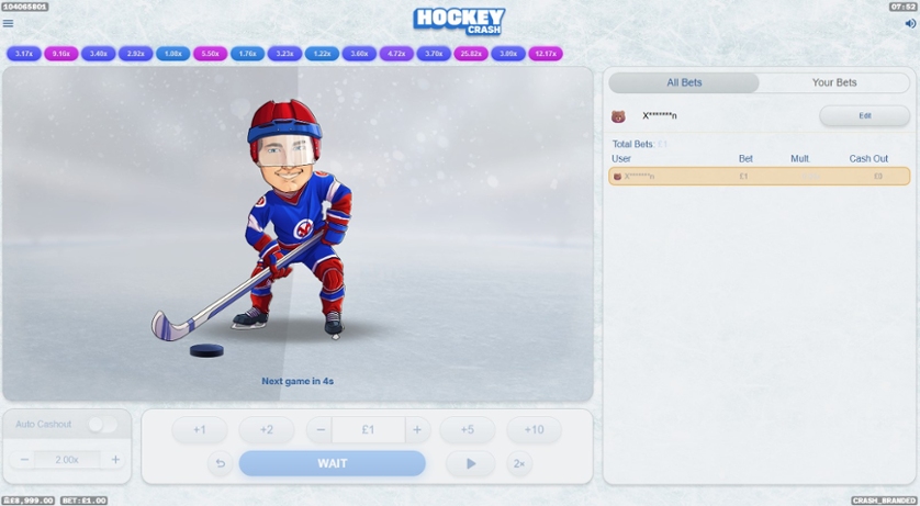 Hockey Crash.jpg