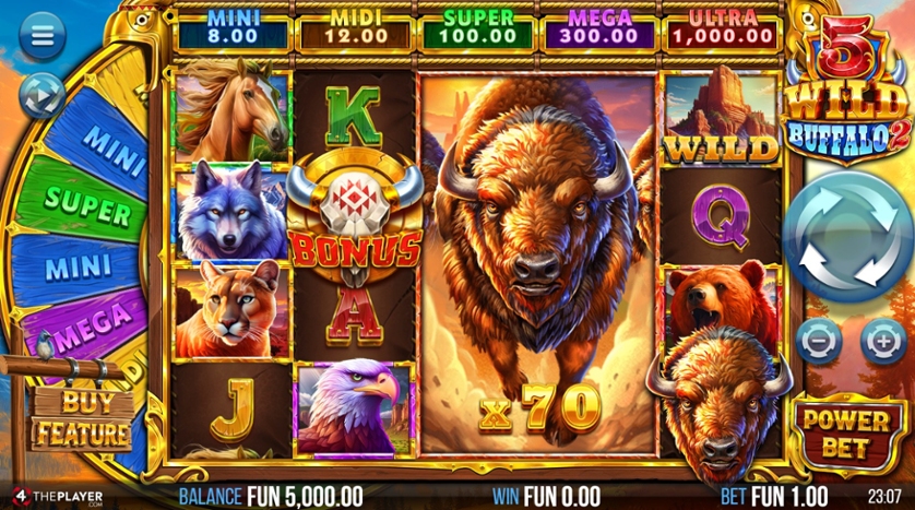 5 Wild Buffalo 2.jpg