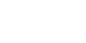 SlotMonkey Casino Logo