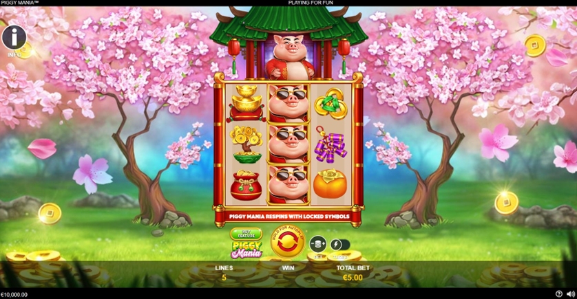 Piggy Mania.jpg