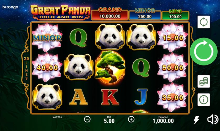 Great Panda Hold and Win.jpg