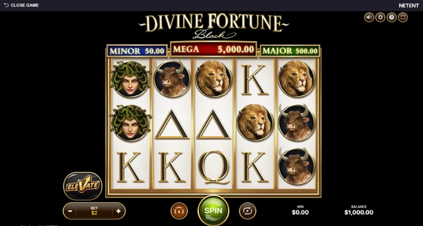 Divine Fortune Black.jpg