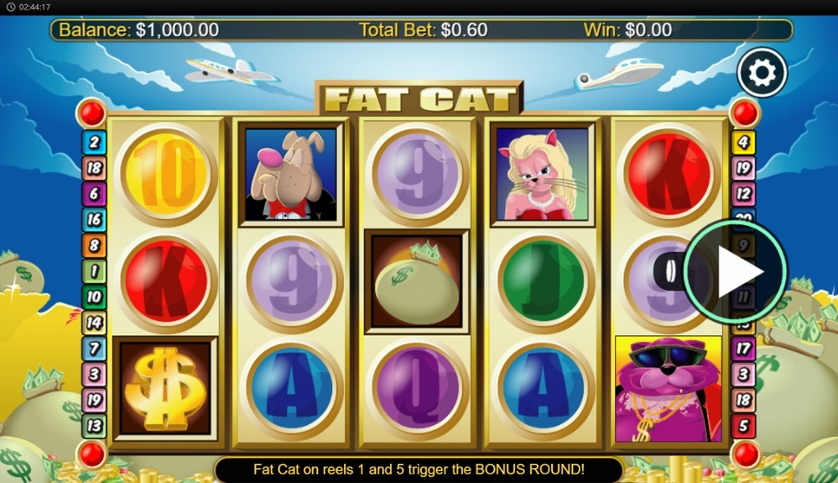 Fat Cat.jpg