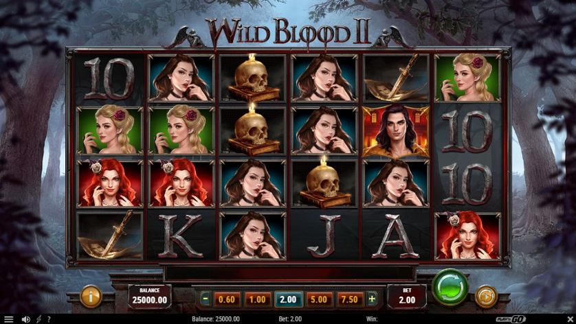 Wild Blood 2.jpg