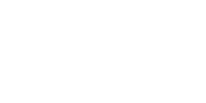 VIP Winners Club Casino Logo