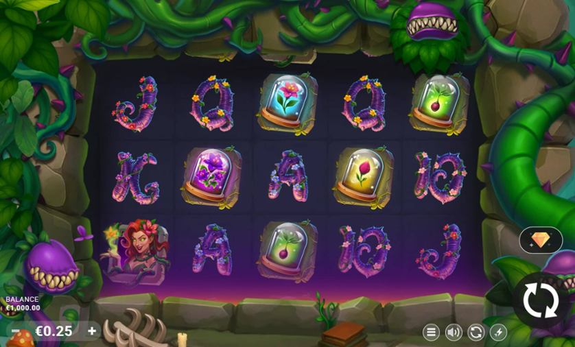 Ivy SC.jpg