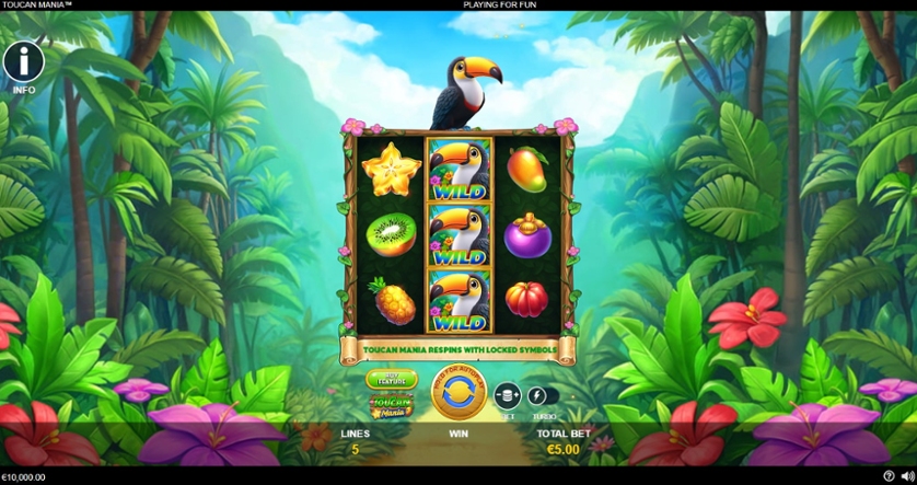 Toucan Mania.jpg