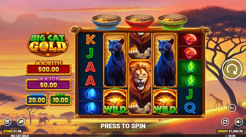 Big Cat Gold.jpg