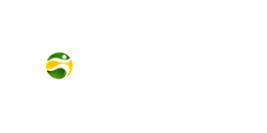 BR4BET Casino Logo