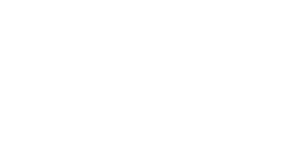 Feinbet Casino Logo