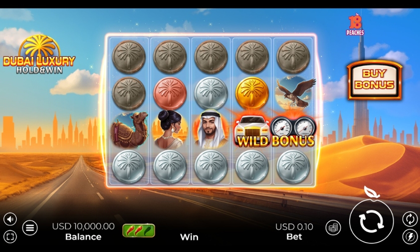 Dubai Luxury Hold & Win.jpg