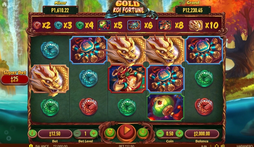 Gold Koi Fortune.jpg