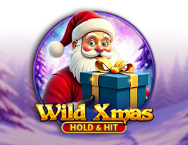 Wild Xmas Hold & Hit