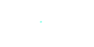 Winner29 Casino Logo