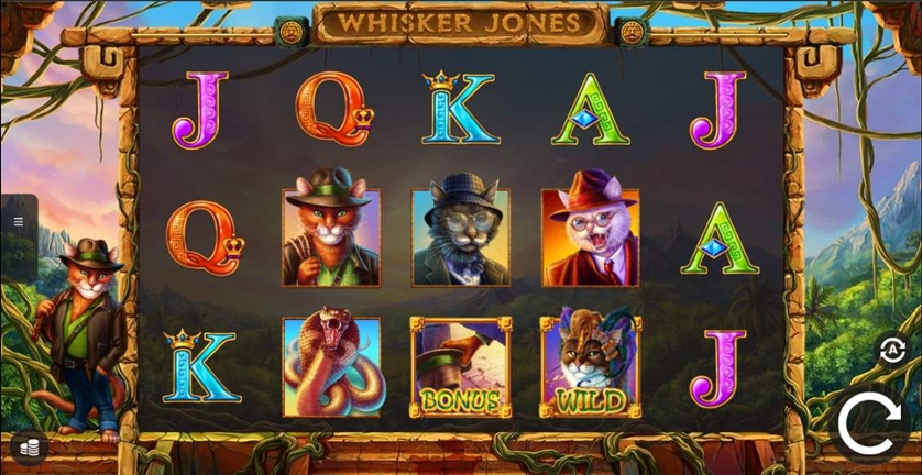 Whisker Jones.jpg