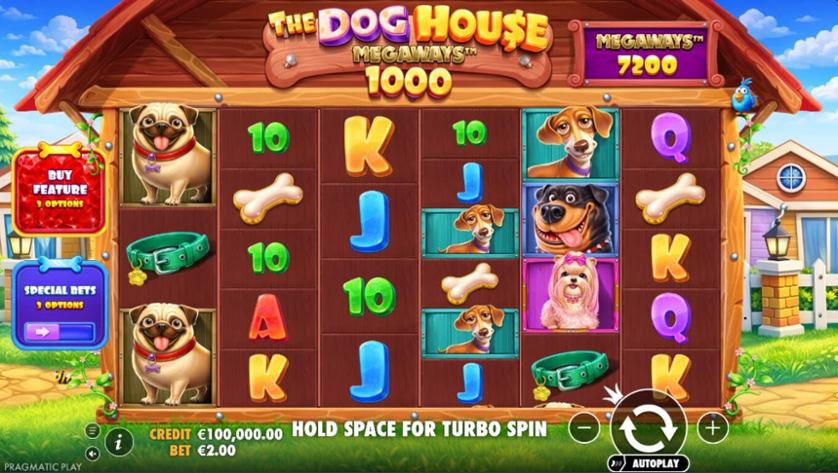 The Dog House Megaways 1000 SC.jpg