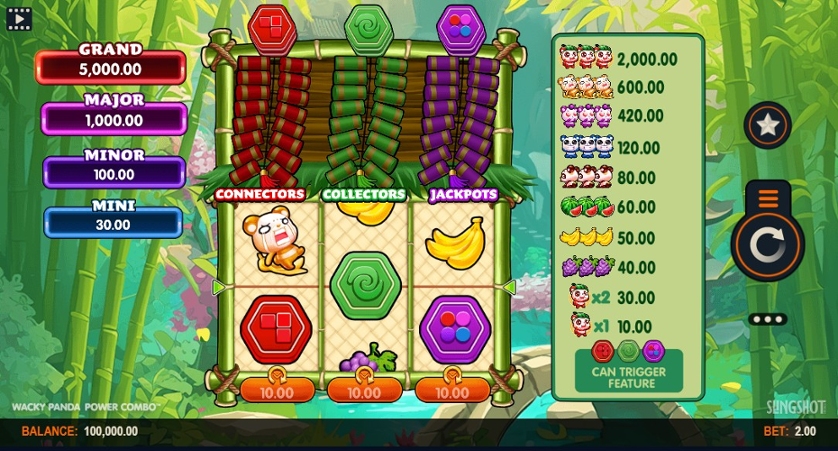 Wacky Panda Power Combo.jpg