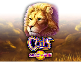 Cats Split 'n' Win