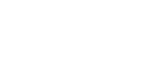 Double Star Casino Logo
