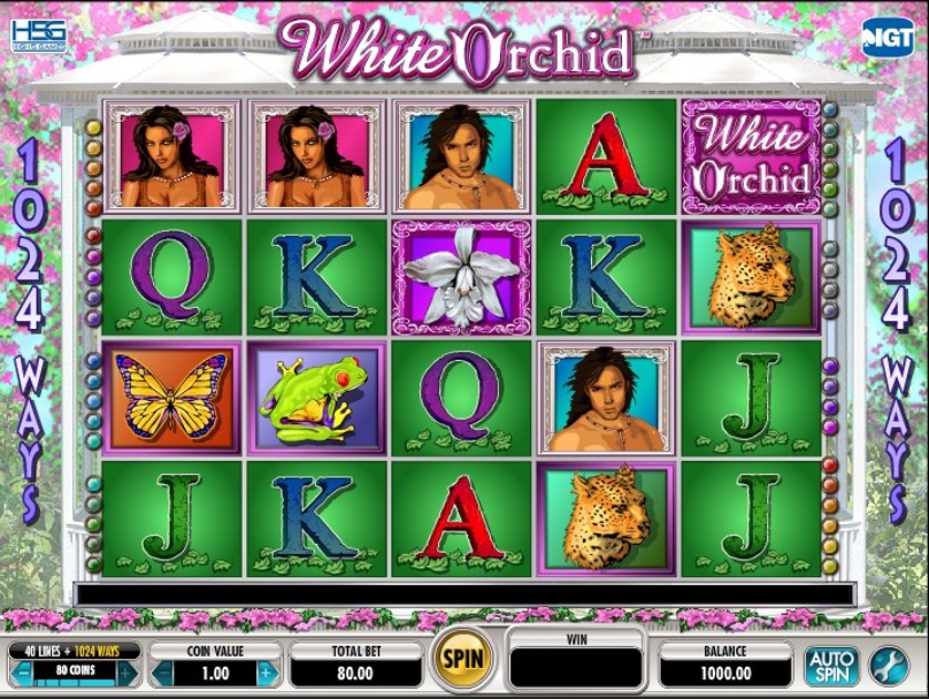 White Orchid Free Slots.jpg