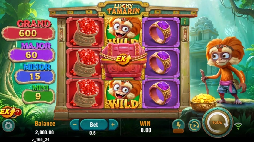 Lucky Tamarin.jpg