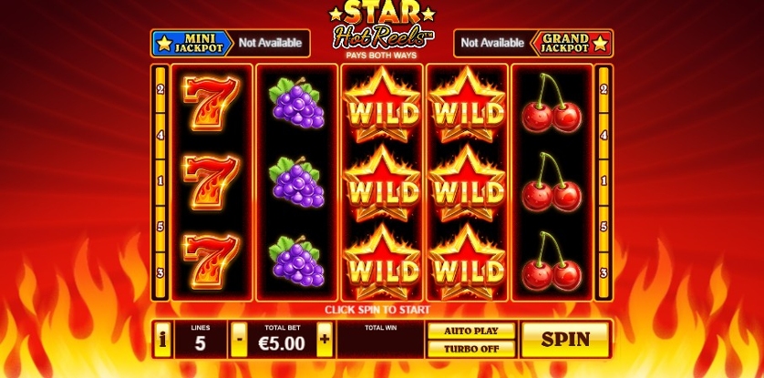 Star Hot Reels.jpg