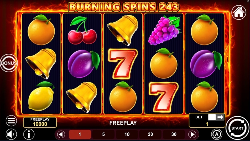 Burning Spins 243.jpg