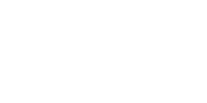 LionBet Casino Logo