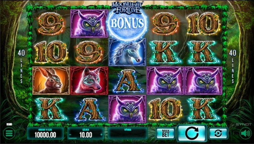 Moonlight Fortune Free Slots.jpg