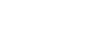 Mint.io Casino Logo