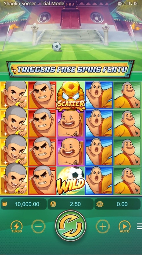 Shaolin Soccer.jpg