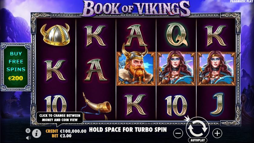 Book of Vikings.jpg