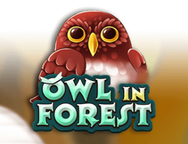 Owl In Forest