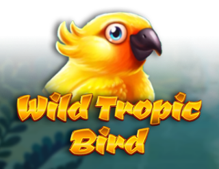 Wild Tropic Bird