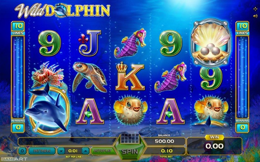 Wild Dolphin.jpg