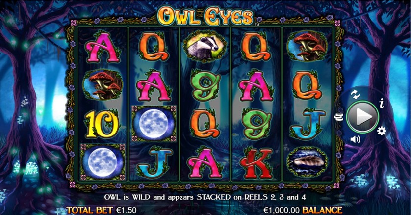 Owl Eyes Nova.jpg