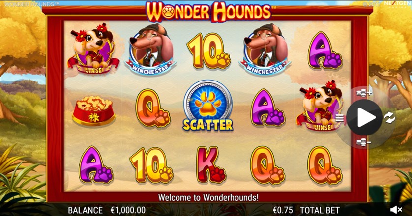 Wonder Hounds 95.jpg