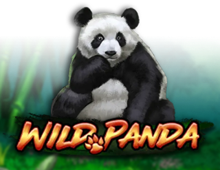 Wild Panda