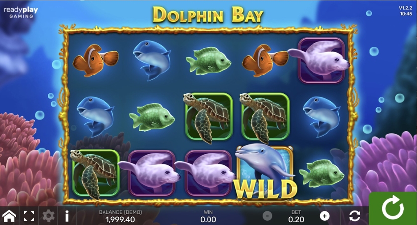 Dolphin Bay.jpg