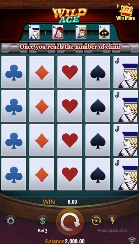 Wild Ace.jpg