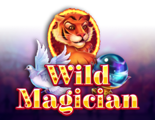 Wild Magician