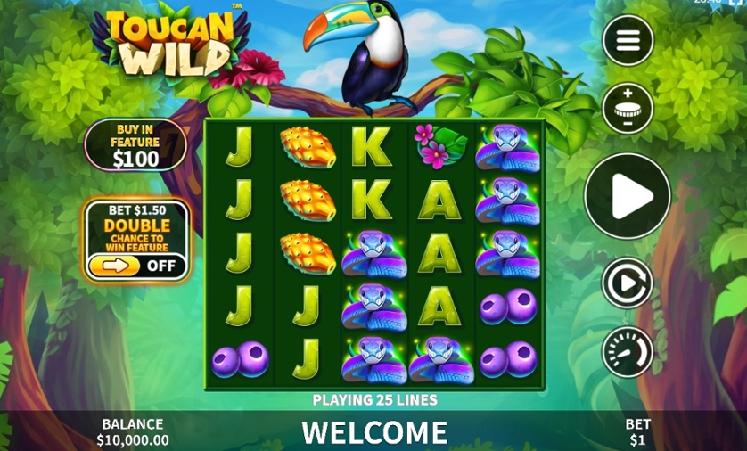 Toucan Wild.jpg